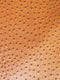 Classic Ostrich Upholstery Vinyl Fabric / Sold By The Yard