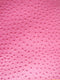 Classic Ostrich Upholstery Vinyl Fabric / Sold By The Yard