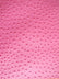 Fuchsia Classic Ostrich Upholstery Vinyl Fabric / By The Roll - 30 Yards