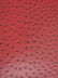 Classic Ostrich Upholstery Vinyl Fabric / Sold By The Yard