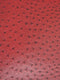 Classic Ostrich Upholstery Vinyl Fabric / Sold By The Yard
