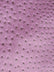 Classic Ostrich Upholstery Vinyl Fabric / Sold By The Yard