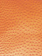 Classic Ostrich Upholstery Vinyl Fabric / Sold By The Yard
