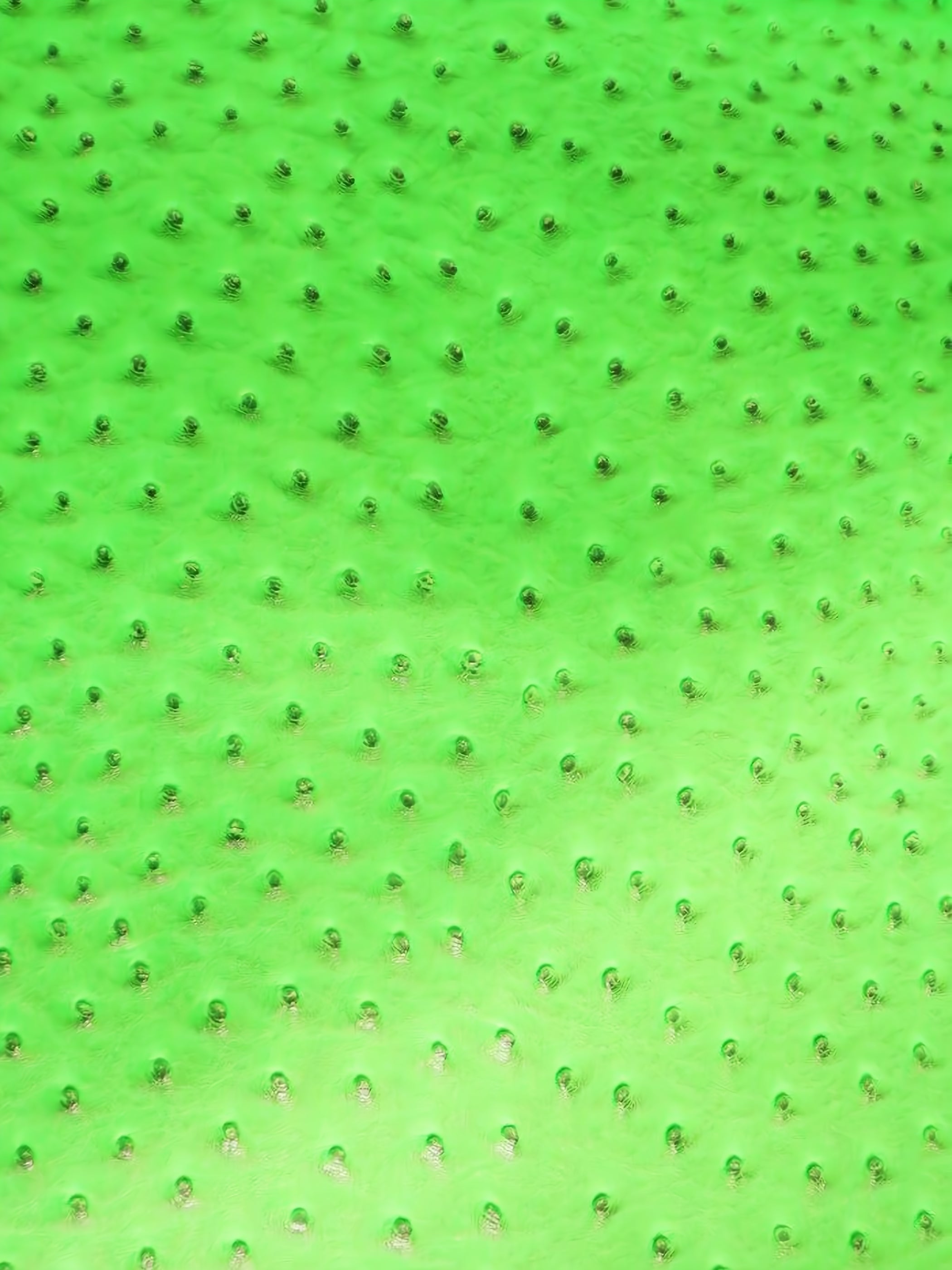 Neon Green Classic Ostrich Upholstery Vinyl Fabric / Sold By The Yard