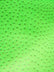 Classic Ostrich Upholstery Vinyl Fabric / Sold By The Yard