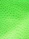 Classic Ostrich Upholstery Vinyl Fabric / Sold By The Yard
