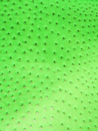 Neon Green Classic Ostrich Upholstery Vinyl Fabric / By The Roll - 30 Yards