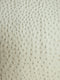 Classic Ostrich Upholstery Vinyl Fabric / Sold By The Yard
