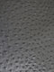 Classic Ostrich Upholstery Vinyl Fabric / Sold By The Yard