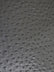 Black Classic Ostrich Upholstery Vinyl Fabric / By The Roll - 30 Yards
