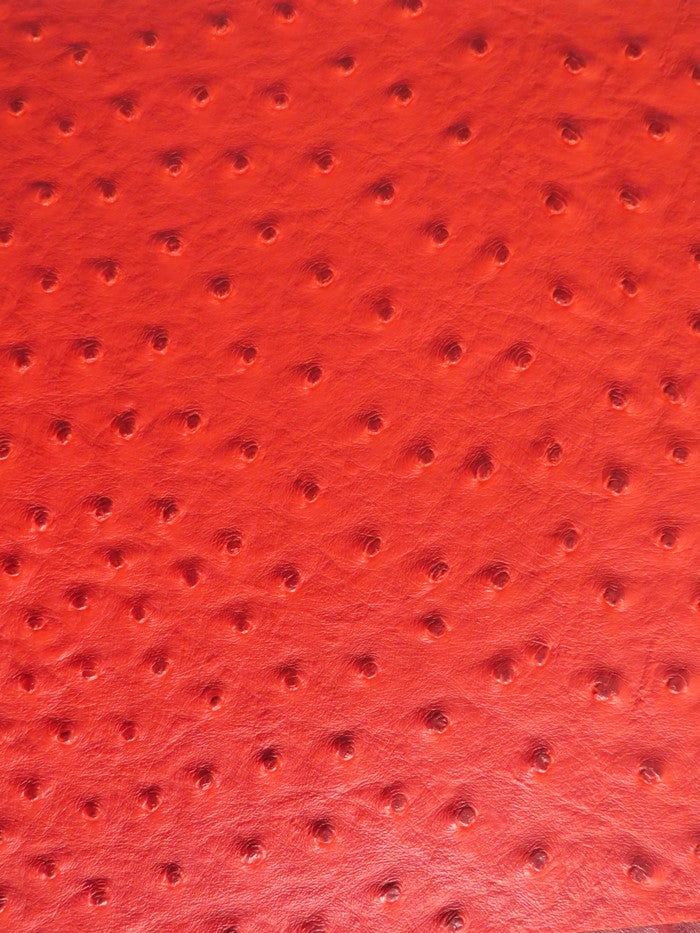 Red Classic Ostrich Upholstery Vinyl Fabric / Sold By The Yard