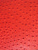 Classic Ostrich Upholstery Vinyl Fabric / Sold By The Yard