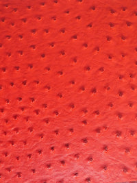 Red Classic Ostrich Upholstery Vinyl Fabric / By The Roll - 30 Yards
