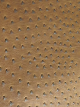 Brown Classic Ostrich Upholstery Vinyl Fabric / By The Roll - 30 Yards