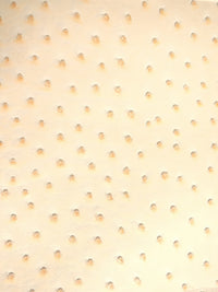 Cream Classic Ostrich Upholstery Vinyl Fabric / Sold By The Yard