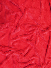 Rabbit Snuggle Minky Fabric / Sold By The Yard