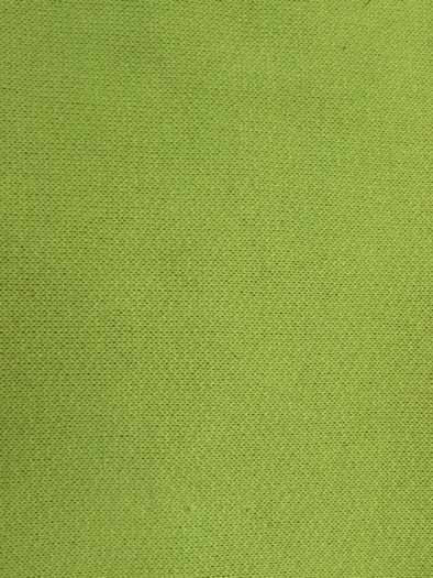 Sweatshirt & Apparel Polar Fleece Fabric / Lime / Sold By The Yard