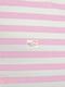 Poly Cotton Stripe Fabric / Sold By The Yard