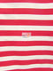 Poly Cotton Stripe Fabric / Sold By The Yard