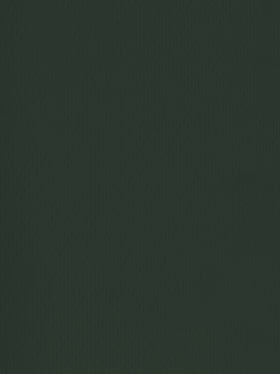 Sports Mesh Activewear Jersey Spandex Fabric / Ash / Sold By The Yard