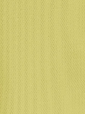 Sports Mesh Activewear Jersey Spandex Fabric / Buttermilk / Sold By The Yard