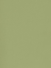 Sports Mesh Activewear Jersey Spandex Fabric / Lichen / Sold By The Yard