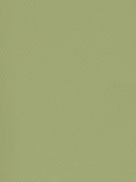 Sports Mesh Activewear Jersey Spandex Fabric / Lichen / Sold By The Yard