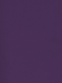 Sports Mesh Activewear Jersey Spandex Fabric / Purple / Sold By The Yard