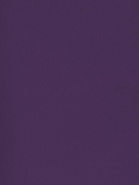 Sports Mesh Activewear Jersey Spandex Fabric / Purple / Sold By The Yard