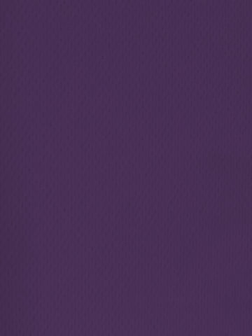 Sports Mesh Activewear Jersey Spandex Fabric / Purple / Sold By The Yard