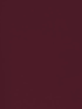 Sports Mesh Activewear Jersey Spandex Fabric / Wine / Sold By The Yard