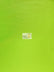 Lime Velboa Solid Short Pile Fabric / Sold By The Yard