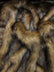 Wolf Animal Long Pile Faux Fur Fabric / Sold By The Yard