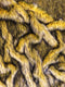Arctic Alaskan Husky Long Pile Faux Fur Fabric / Sold By The Yard